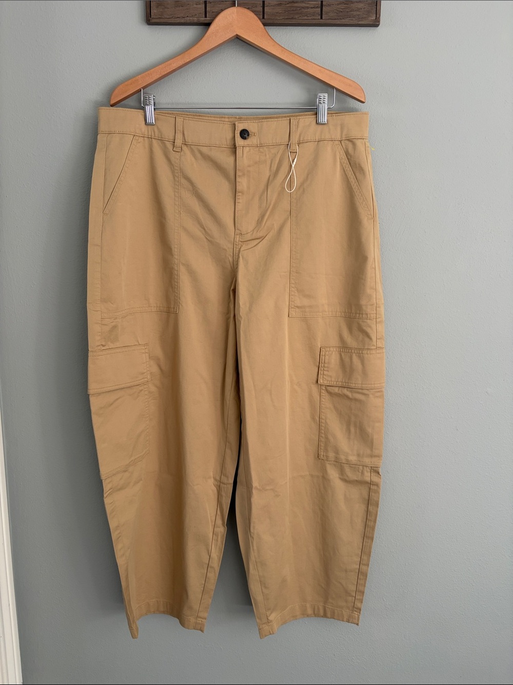 Everlane Women’s Camel Cargo Barrrl Pants - NWOT size 16